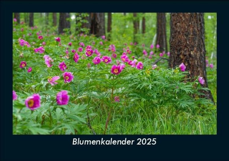 Produktbild: Blumenkalender 2025 Fotokalender DIN A5