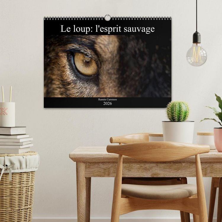 Produktbild: Le loup: l'esprit sauvage (Calendrier mural 2026 DIN A3 vertical), CALVENDO calendrier mensuel