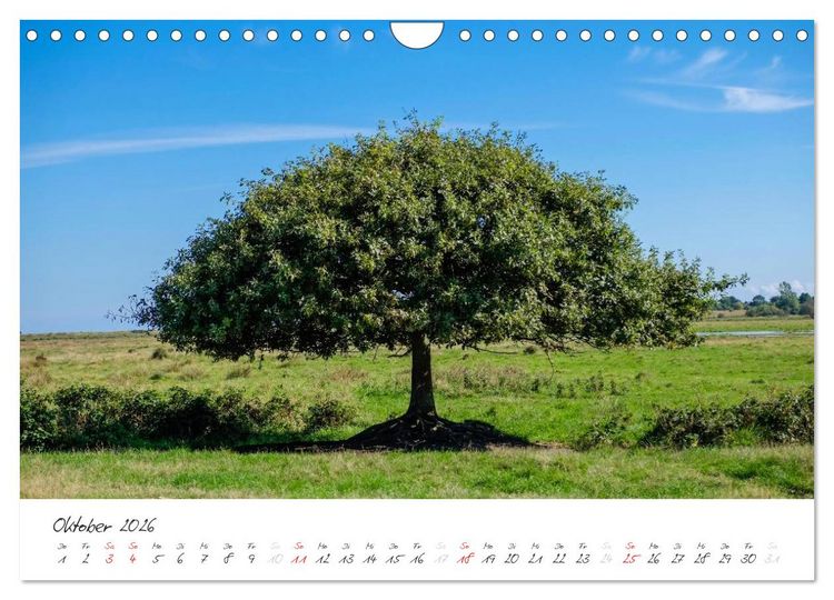 Produktbild: Geltinger Birk (Wandkalender 2026 DIN A4 quer), CALVENDO Monatskalender