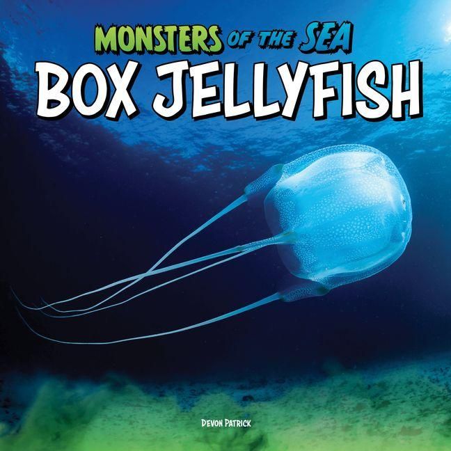 Produktbild: Box Jellyfish