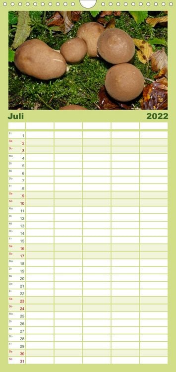 Produktbild: Familienplaner Pilze, Pilze (Wandkalender 2022 , 21 cm x 45 cm, hoch)