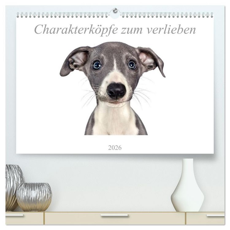 Produktbild: Charakterk&ouml;pfe zum verlieben (hochwertiger Premium Wandkalender 2026 DIN A2 quer), Kunstdruck in Hochglanz