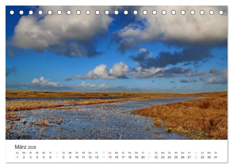 Produktbild: Texel &ndash; Eine Insel die verzaubert (Tischkalender 2026 DIN A5 quer), CALVENDO Monatskalender