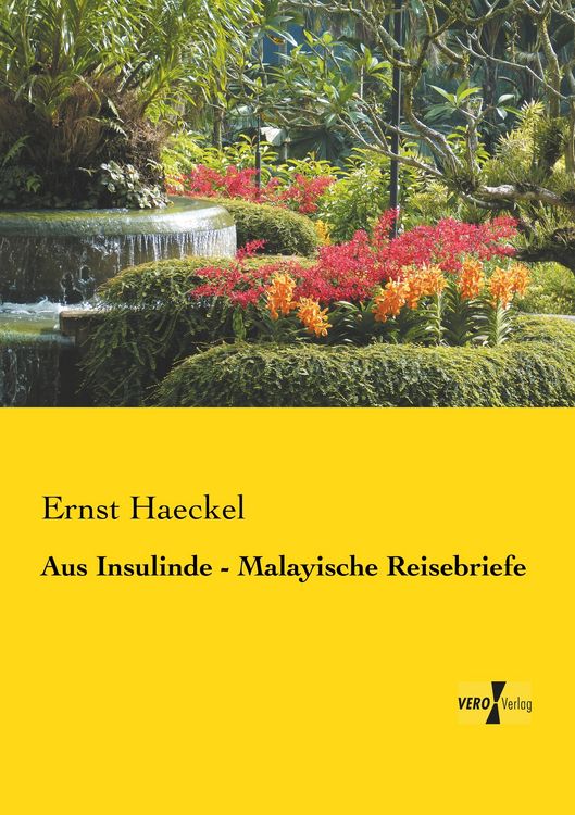 Produktbild: Aus Insulinde - Malayische Reisebriefe