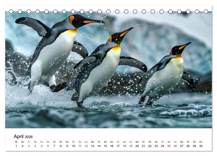 Produktbild: Maritim pur - Pinguine (Tischkalender 2026 DIN A5 quer), CALVENDO Monatskalender