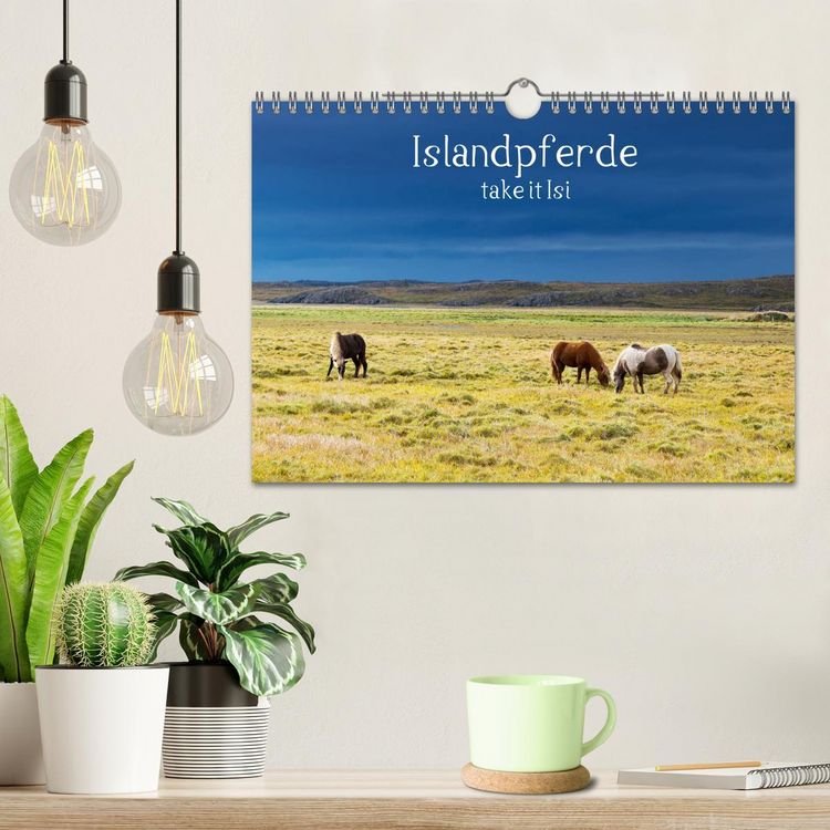 Produktbild: Islandpferde take it Isi (Wandkalender 2026 DIN A4 quer), CALVENDO Monatskalender