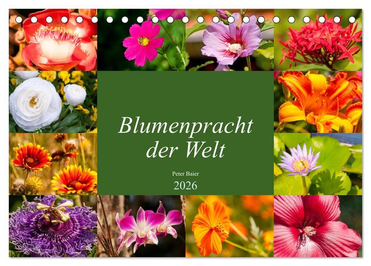 Produktbild: Blumenpracht der Welt (Tischkalender 2026 DIN A5 quer), CALVENDO Monatskalender