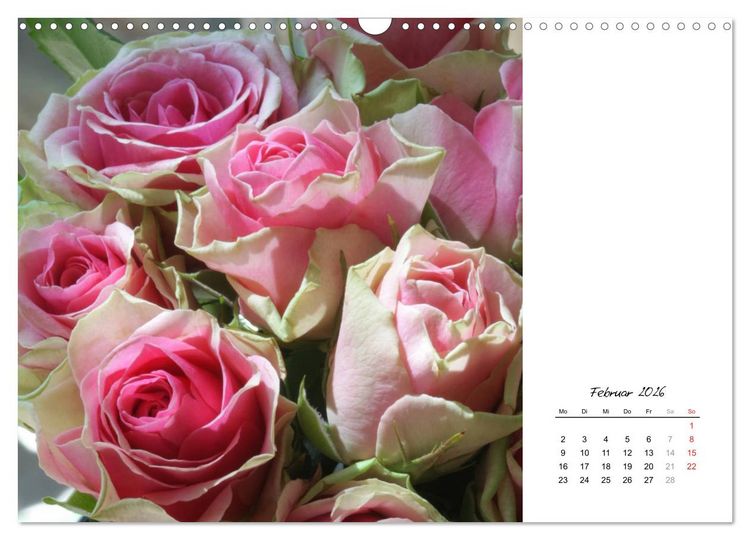Produktbild: Die vielen Gesichter der Rosen (Wandkalender 2026 DIN A3 quer), CALVENDO Monatskalender