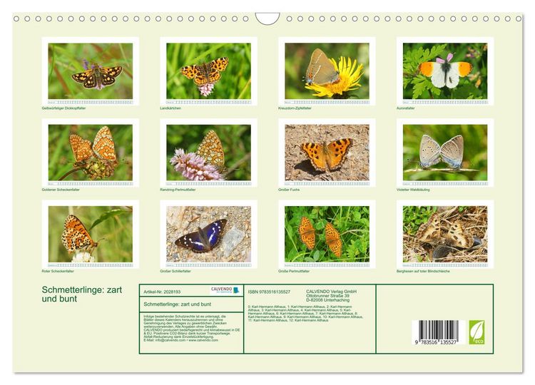 Produktbild: Schmetterlinge: zart und bunt (Wandkalender 2026 DIN A3 quer), CALVENDO Monatskalender