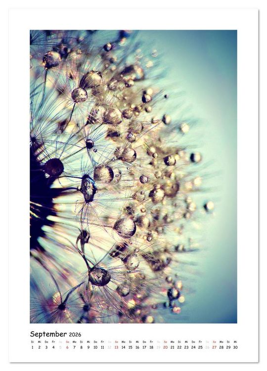 Produktbild: Die Pusteblume neu erleben (Wandkalender 2026 DIN A3 hoch), CALVENDO Monatskalender