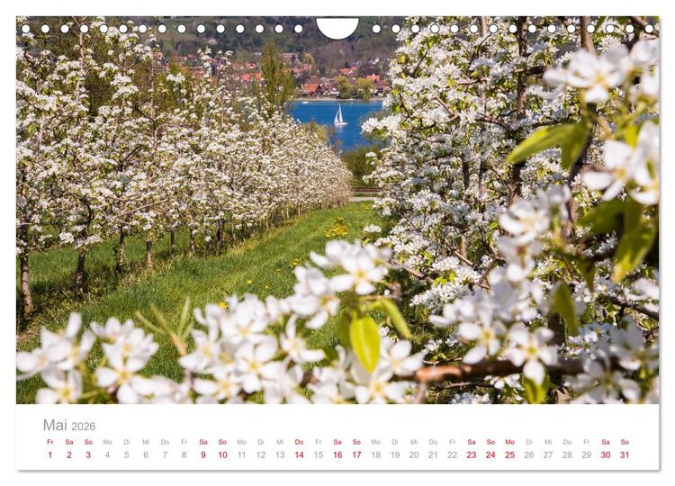 Produktbild: BODENSEE Drei L&auml;nder - ein See (Wandkalender 2026 DIN A4 quer), CALVENDO Monatskalender
