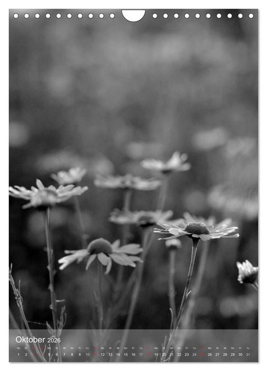 Produktbild: Monochrome Bl&uuml;ten - In Schwarz-Wei&szlig; Bildern durch das Jahr (Wandkalender 2026 DIN A4 hoch), CALVENDO Monatskalender