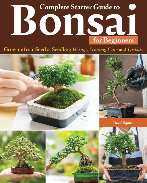 Produktbild: Complete Starter Guide to Bonsai