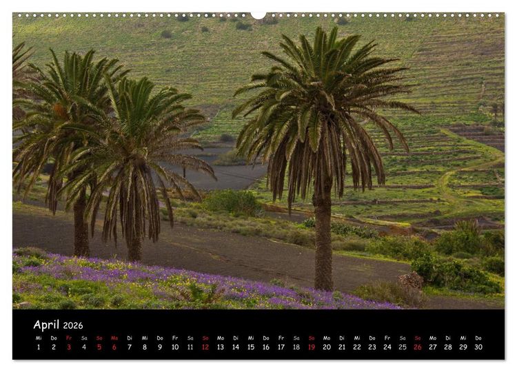Produktbild: Lanzarote - Insel der Vulkane (Wandkalender 2026 DIN A2 quer), CALVENDO Monatskalender