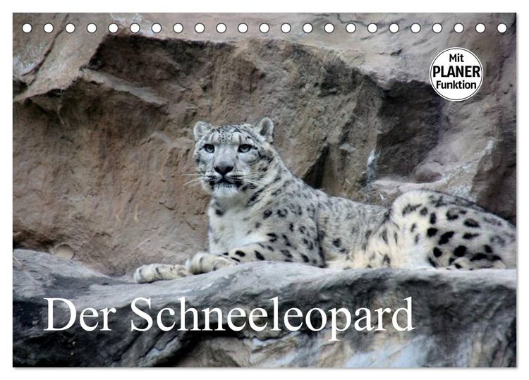 Produktbild: Der Schneeleopard (Tischkalender 2026 DIN A5 quer), CALVENDO Monatskalender