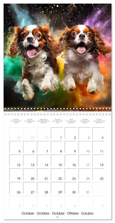 Produktbild: Dynamic Duo - Two Paws, One Leap (Wall Calendar 2026 12 &times; 12 Inch) CALVENDO 12 Month Wall Calendar