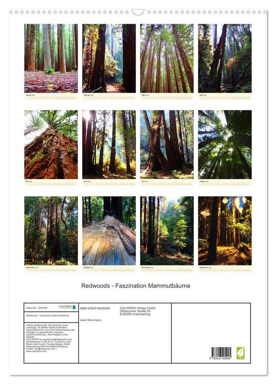 Produktbild: Redwoods - Faszination Mammutb&auml;ume (Wandkalender 2026 DIN A2 hoch), CALVENDO Monatskalender