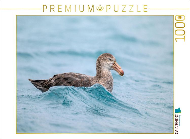 Produktbild: CALVENDO Puzzle Sturmvogel bei Salisbury Plain | 1000 Teile Lege-Gr&ouml;&szlig;e 64x48cm Foto-Puzzle f&uuml;r gl&uuml;ckliche Stunden