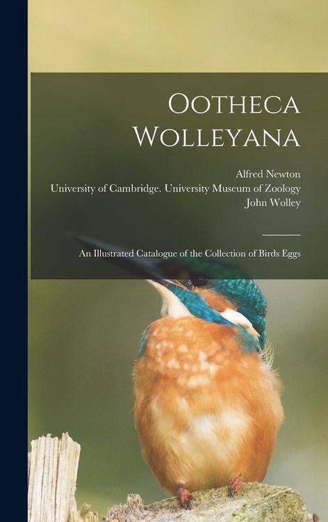 Produktbild: Ootheca Wolleyana