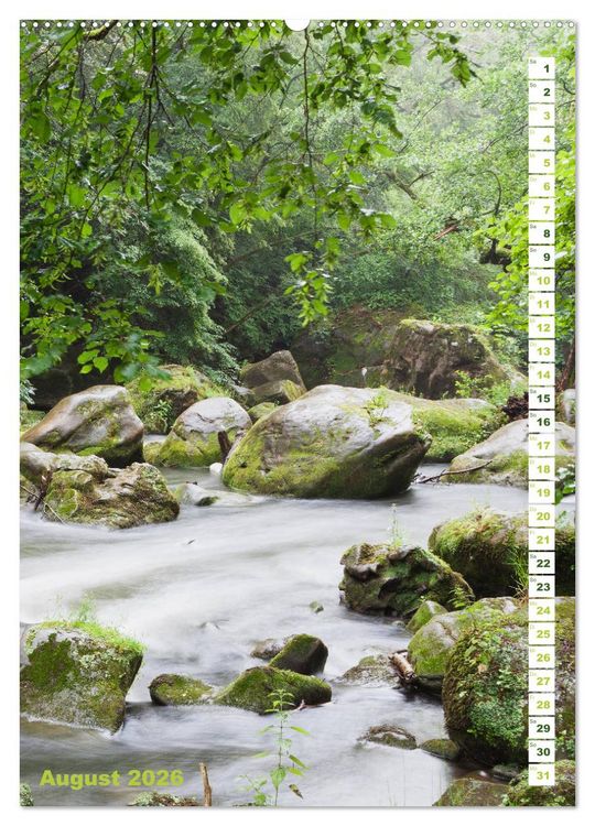 Produktbild: EIFEL - Kraftorte Wald und Wasser (hochwertiger Premium Wandkalender 2026 DIN A2 hoch), Kunstdruck in Hochglanz