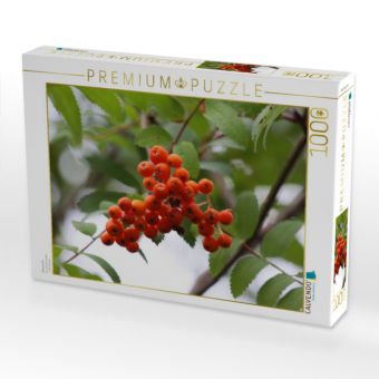 Produktbild: CALVENDO Puzzle Eberesche | 1000 Teile Lege-Gr&ouml;&szlig;e 64x48cm Foto-Puzzle f&uuml;r gl&uuml;ckliche Stunden