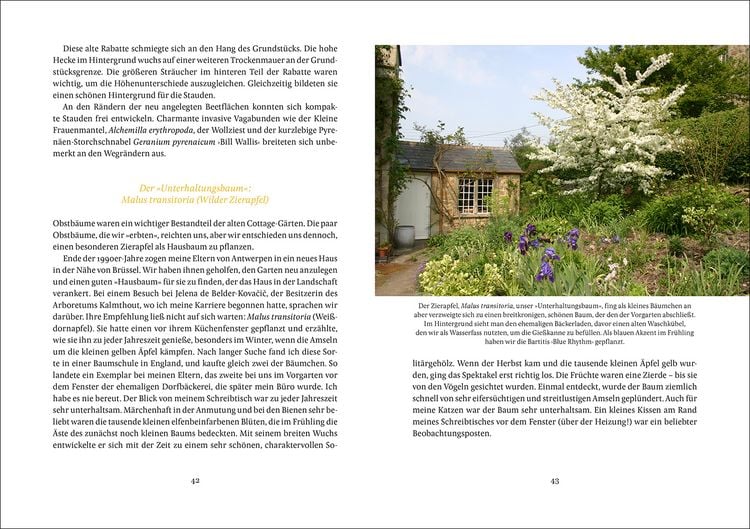 Produktbild: Mein wunderbarer Cottage-Garten