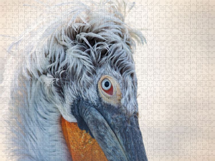 Produktbild: CALVENDO Puzzle Ein Motiv aus dem Kalender Charismatische V&ouml;gel | 1000 Teile Lege-Gr&ouml;&szlig;e 64x48cm Foto-Puzzle f&uuml;r gl&uuml;ckliche Stunden