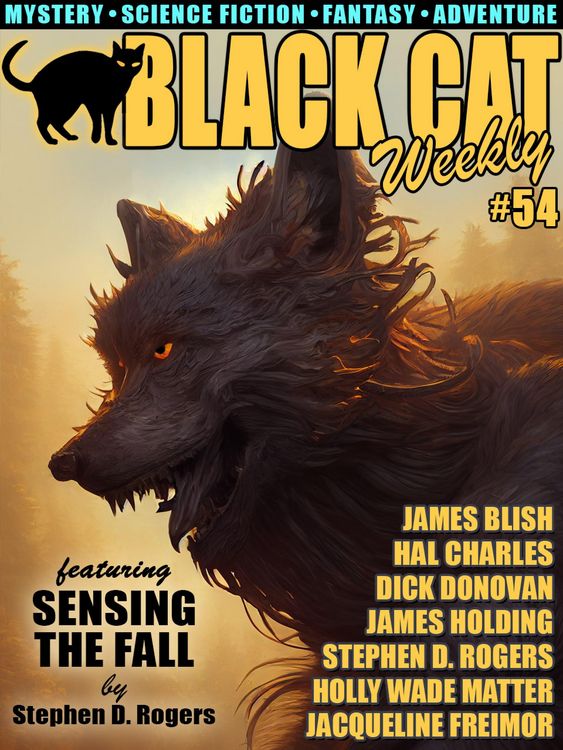 Produktbild: Black Cat Weekly #54