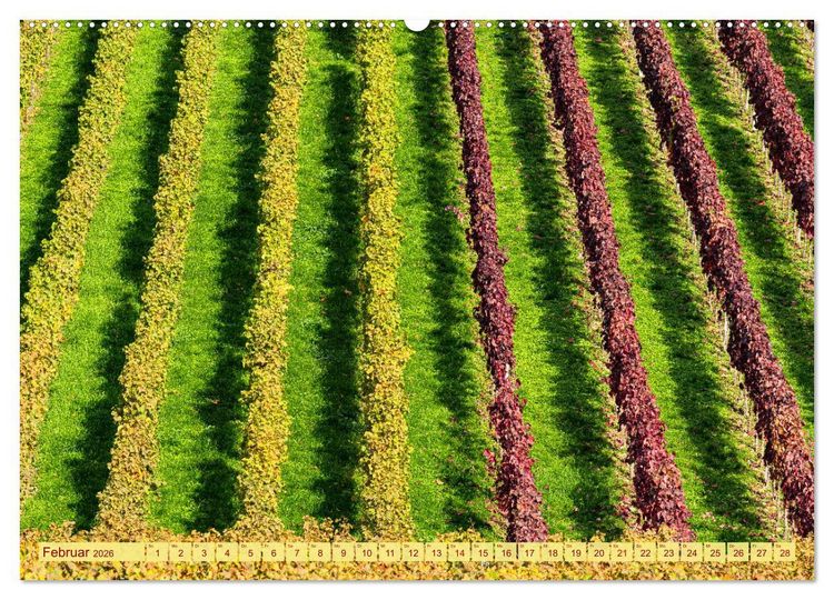 Produktbild: Farbenpr&auml;chtige Weinberge (hochwertiger Premium Wandkalender 2026 DIN A2 quer), Kunstdruck in Hochglanz
