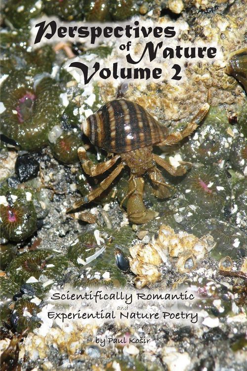 Produktbild: Perspectives of Nature Volume 2