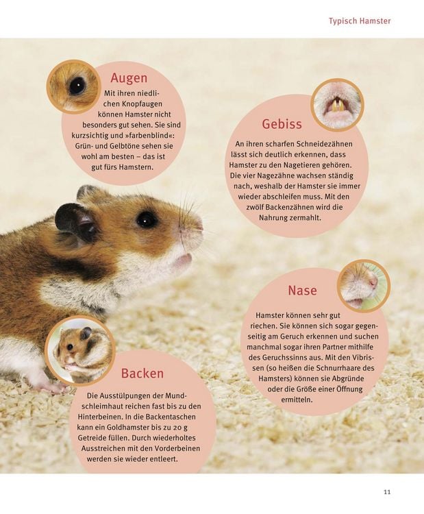 Produktbild: Hamster