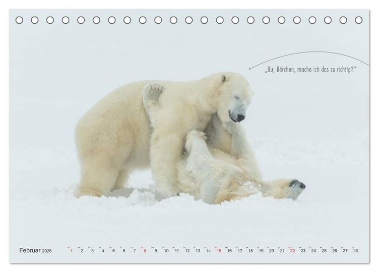 Produktbild: Emotionale Momente: Eisb&auml;ren - ganz menschlich gesehen. (Tischkalender 2026 DIN A5 quer), CALVENDO Monatskalender