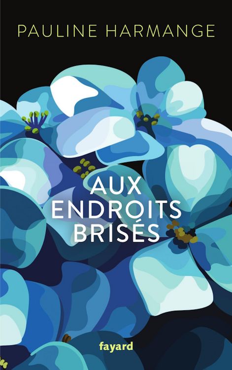 Produktbild: Aux endroits bris&eacute;s