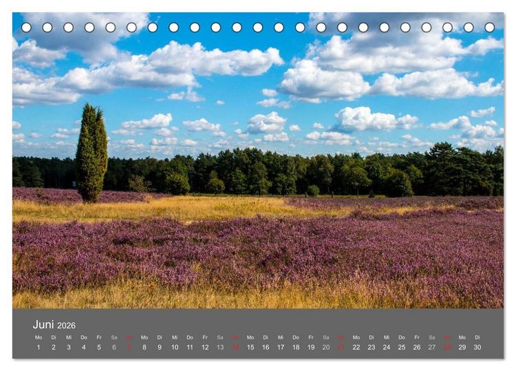Produktbild: Moor- und Heidelandschaften Niedersachsen (Tischkalender 2026 DIN A5 quer), CALVENDO Monatskalender