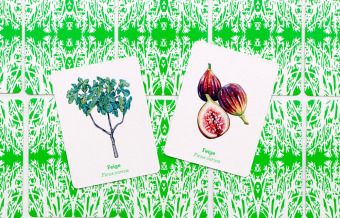 Produktbild: Obst & Gem&uuml;se