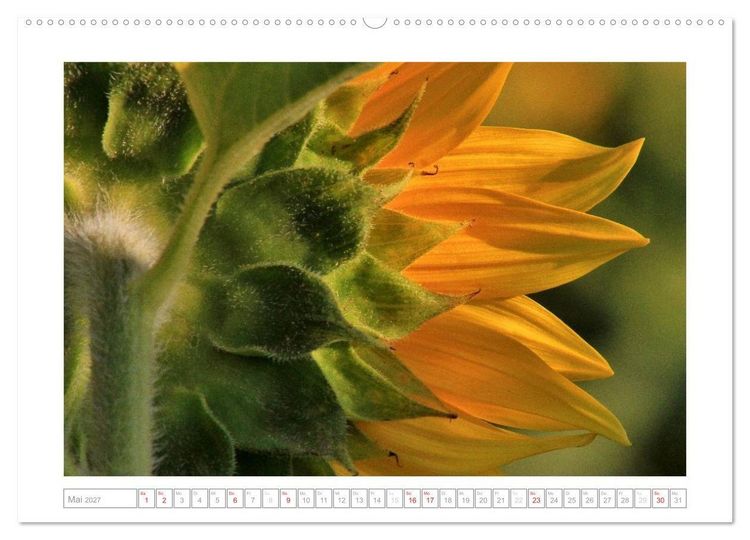 Produktbild: Sonnentage 2027 (hochwertiger Premium Wandkalender 2027 DIN A2 quer), Kunstdruck in Hochglanz