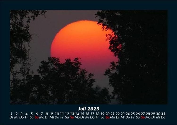 Produktbild: B&auml;ume 2025 Fotokalender DIN A5