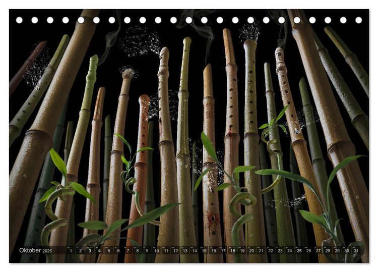 Produktbild: Musica fant&aacute;sia - Die wundersame Welt des Fotok&uuml;nstlers Olaf Bruhn (Tischkalender 2026 DIN A5 quer), CALVENDO Monatskalender