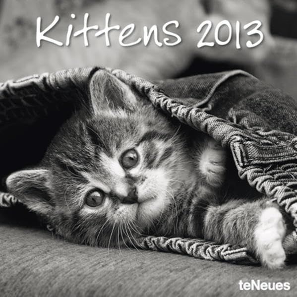Produktbild: Kittens 2013