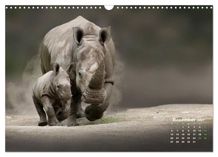 Produktbild: WILDE TIERE IN AKTION (Wandkalender 2027 DIN A3 quer), CALVENDO Monatskalender