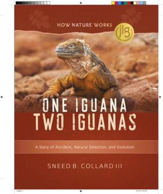 Produktbild: One Iguana, Two Iguanas: A Story of Accident, Natural Selection, and Evolution