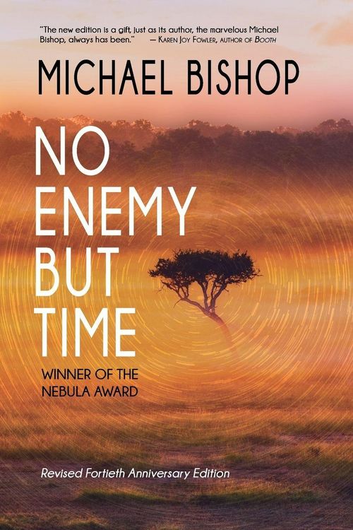 Produktbild: No Enemy but Time