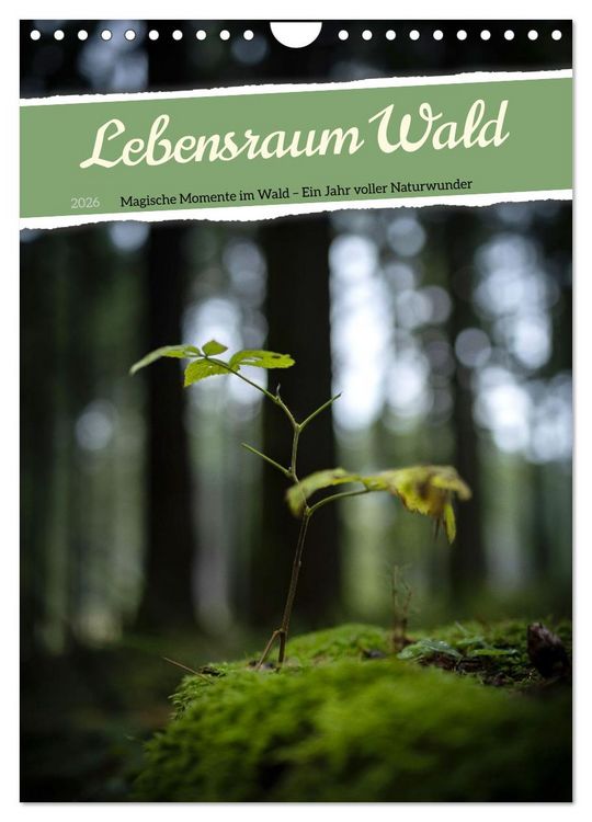 Produktbild: Lebensraum Wald (Wandkalender 2026 DIN A4 hoch), CALVENDO Monatskalender