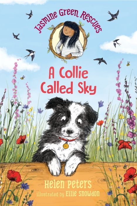 Produktbild: Jasmine Green Rescues: A Collie Called Sky