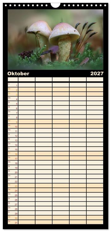 Produktbild: Familienplaner 2027 - Verborgene Wunder mit 5 Spalten (Wandkalender, 21 x 45 cm) CALVENDO