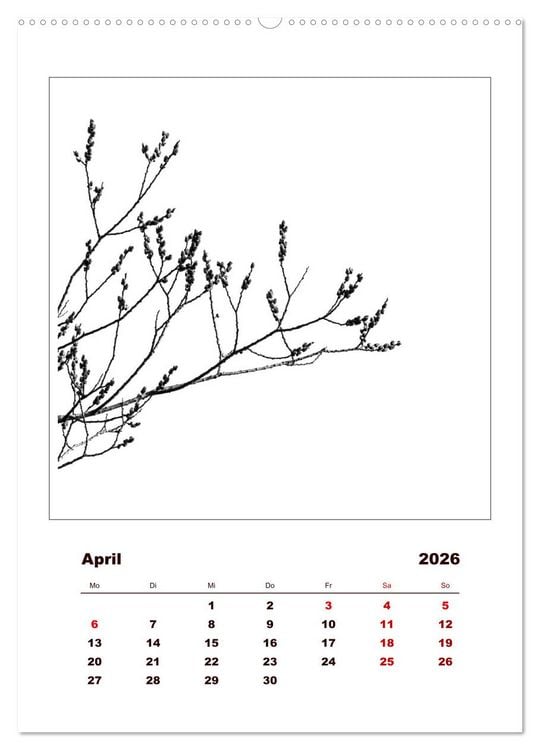 Produktbild: LignoGrafica - Muster und Strukturen der B&auml;ume (Wandkalender 2026 DIN A2 hoch), CALVENDO Monatskalender