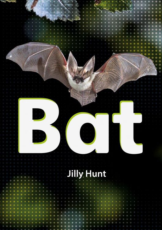 Produktbild: Set 02 - Bat