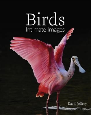 Produktbild: Birds: Intimate Images