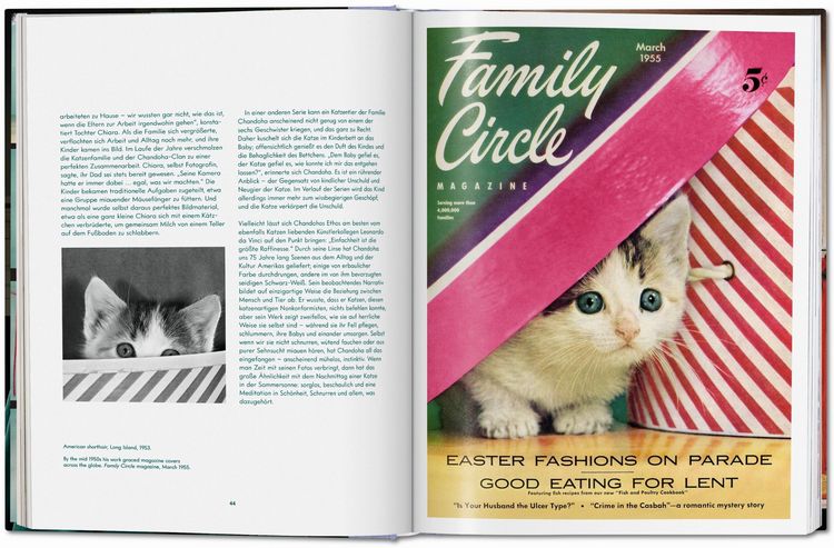 Produktbild: Walter Chandoha. Cats. Photographs 1942&ndash;2018