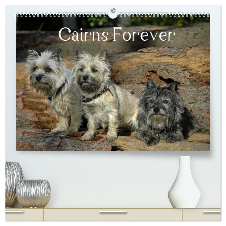 Produktbild: Cairns Forever (hochwertiger Premium Wandkalender 2026 DIN A2 quer), Kunstdruck in Hochglanz
